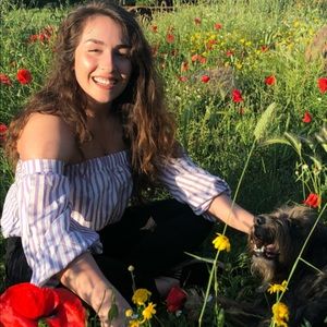Purple Stripe Off the Shoulder Top / Blouse